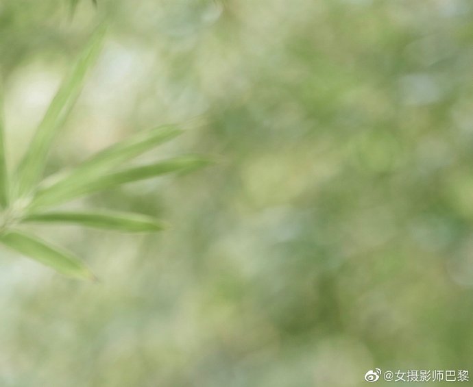 我的大叔 封面